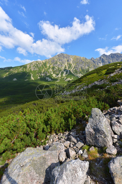 波兰塔特里山脉的美丽风景图片