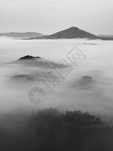 满月之夜与日出在波希米亚萨克森瑞士美丽的山砂岩山峰和小山从有雾的背景中增加第一缕阳图片