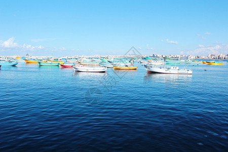 埃及亚历山大港的渔船图片