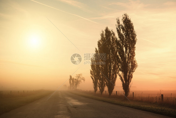 乡村公路图片