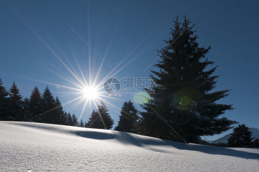 充满了积雪树木阳光和蓝天空的美妙和梦图片