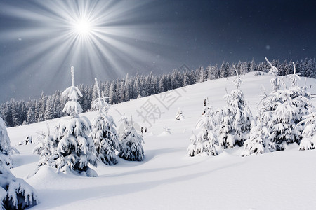 冬天的风景山上树木覆盖着白霜和雪图片