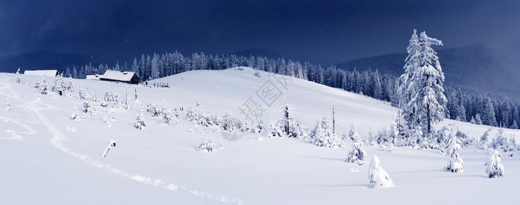 冬季风景山上树木布满了冰霜图片