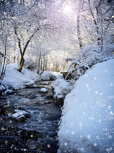 美丽的冬季风景与图片