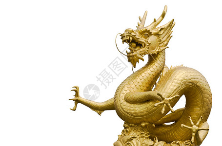 金龙动态素材图片