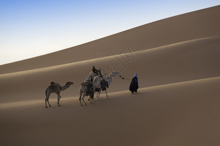 利比亚沙漠旅行者和摄影师的绝佳去处撒哈拉沙漠密集黄沙丘和商背景图片