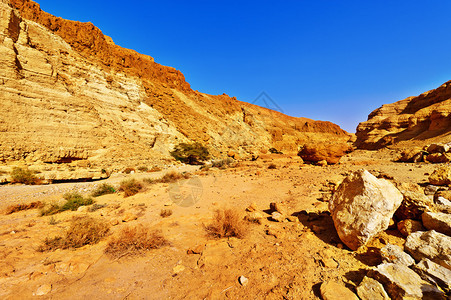 朱迪亚沙漠干涸的河床图片
