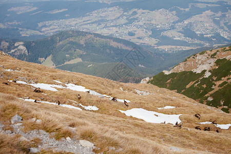 塔特里山区沙米瓦山群泽尔沃内维希图片