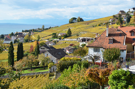 瑞士Lavau图片