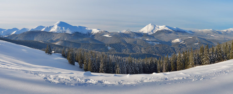 冬天山风景全霜天喀尔巴阡山脉图片
