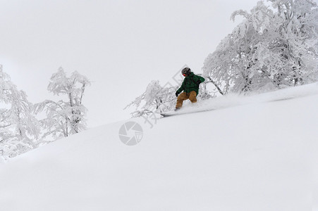 自由滑的雪者图片