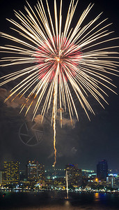 多彩花夜幕与帕塔亚市风景图片