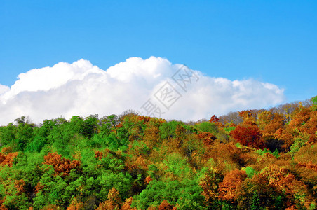 秋天风景秀丽的风景图片