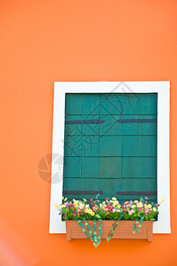 橙色墙上的绿色窗户图片