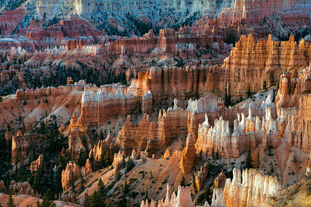 BryceCanyon美图片