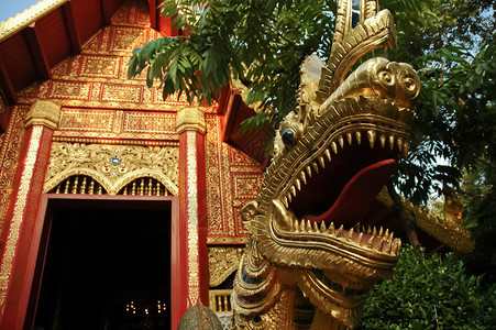 泰式龙和泰国北部的金色巨金寺庙Golde图片