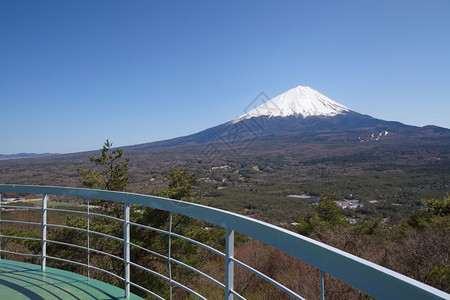 春天的富士山樱花图片