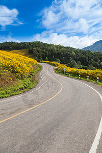 在山顶的公路上路边有一图片