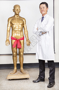完整的中医大夫和人体穴位模型图片