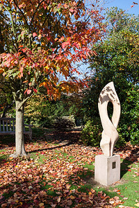 在现代雕塑作品旁边的树叶上撒下叶子图片
