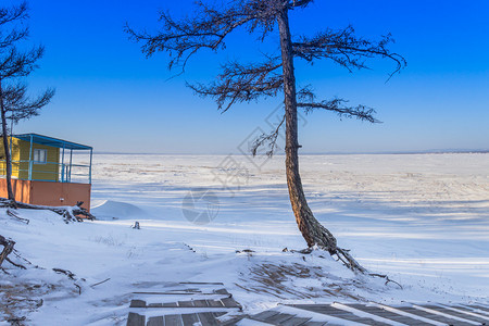 2月在冰冻湖边的沙漠大角图片