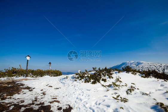 在Beskidy山拍摄的美丽的冬日阳光照片MalaBabiaGoraBabiogorskiParkNa图片