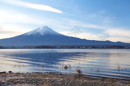 来自狸猫湖的冬季富士山图片