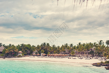 热带天堂的棕榈和热带海滩暑假在偏远的天堂海滩上放松图片