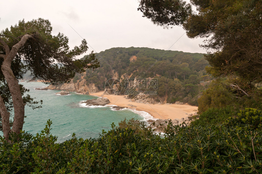 布拉瓦海岸的海湾全景图片