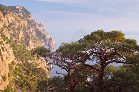 沿海度假胜地的阳光景色图片