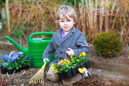 小男孩园艺和种植蔬菜植物在花园户外图片
