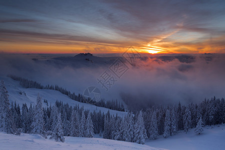 冬天五颜六色的日出在云层上冷杉满是雪图片