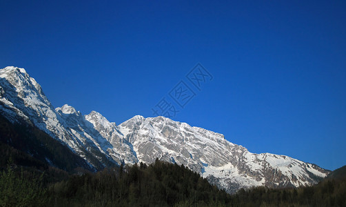 阿尔卑斯山的雪峰图片