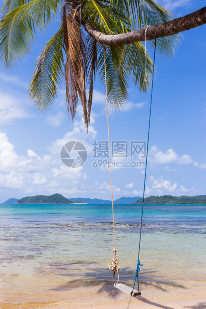 沙滩上挂着椰子树的吊椅图片