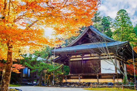 日本京都秋季的秋季节用于adv或图片