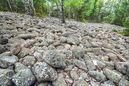 瑞典具有花岗岩圆柱石圆柱石的博尔德山脊图片