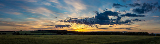 日落麦田的乡村景观图片