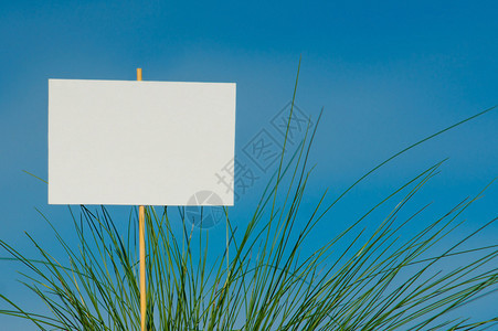 蓝天空绿草中背景空白广告空间图片