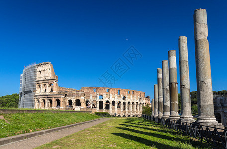 从维纳斯和罗马神庙看斗兽场图片