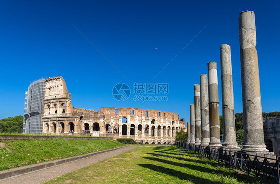 从维纳斯和罗马神庙看斗兽场图片