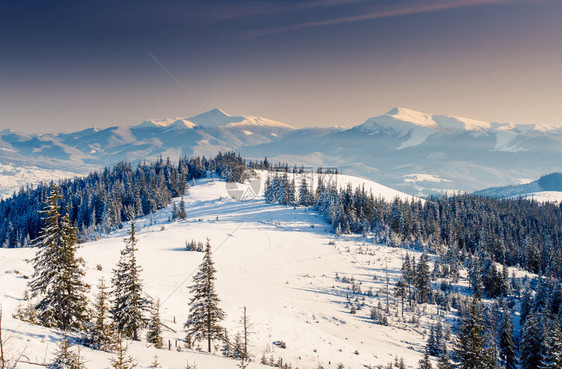 美丽的冬天景色喀尔巴阡山脉乌克兰欧图片