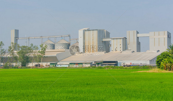 储罐的碾米厂工厂加工生产线图片