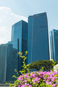 新加坡城市天际线中的建筑物高清图片