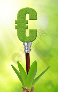 植物绿色能源概念的图片