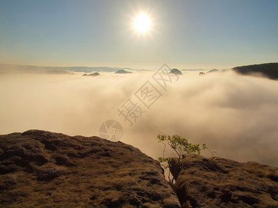 在美丽的萨克森州瑞士公园山谷中春蓝粉红雾色日出远处的山丘从图片