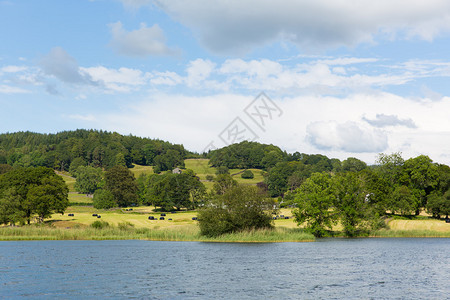 EsthwaiteWaterLakeDistrictCumbria靠近Hawkshead村图片