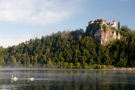 俯视位于斯洛文尼亚的布莱德湖的中世纪城堡图片