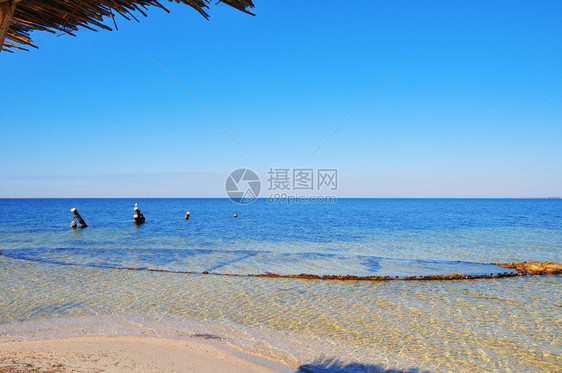 蓝天下的夏日海滩边图片