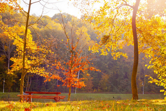 大自然的美丽多彩秋图片