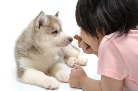 小的亚洲婴儿喂养小狗图片